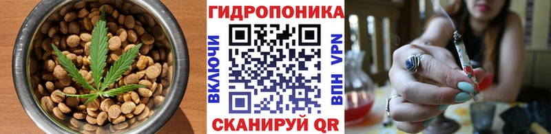 дарк нет формула  Вичуга  Cannafood марихуана 