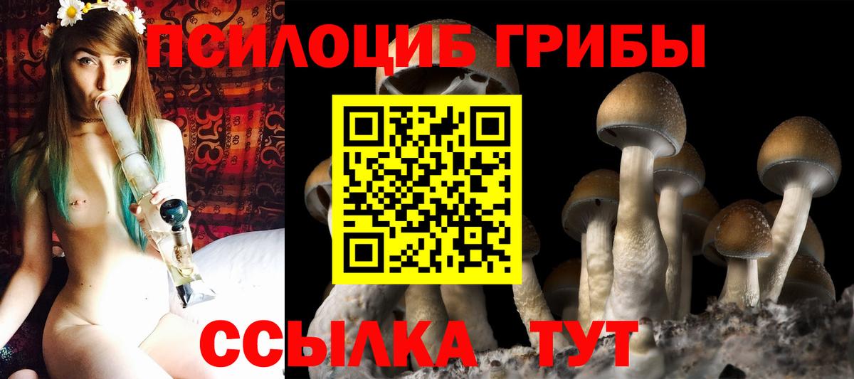 Галлюциногенные грибы GOLDEN TEACHER  Вичуга 