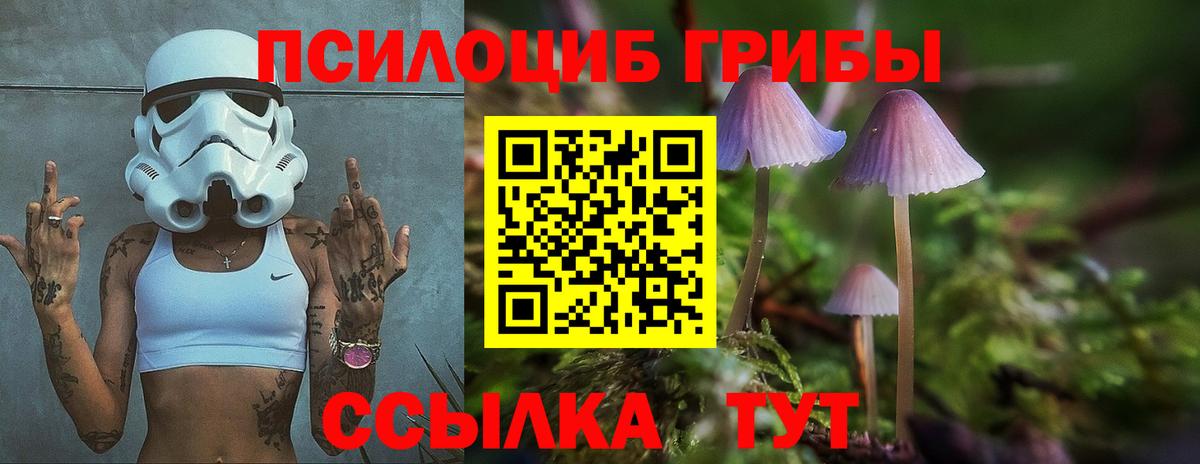 Галлюциногенные грибы MAGIC MUSHROOMS Вичуга